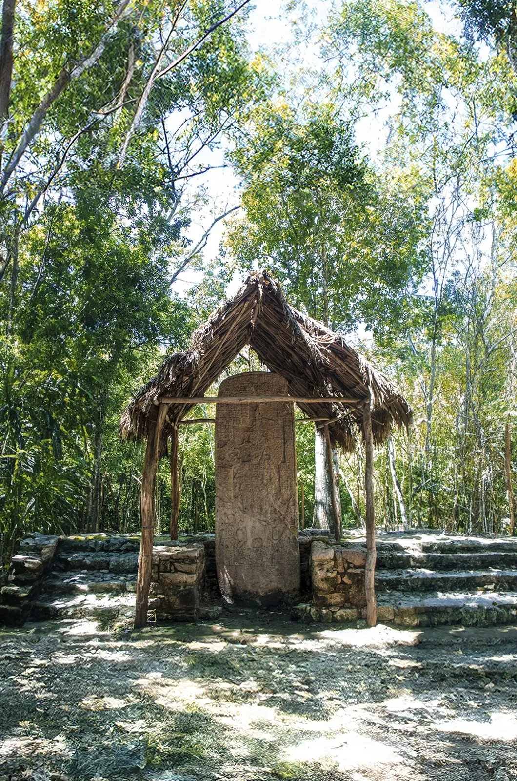 Cobá private visit