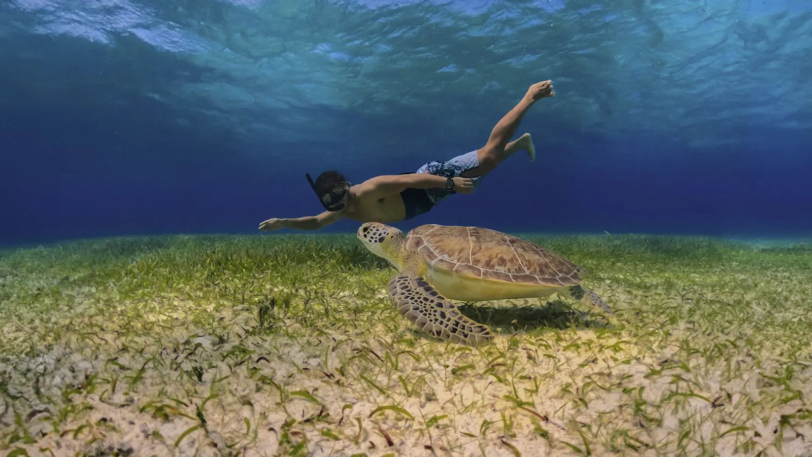 Cozumel with El Cielo and El Cielito
