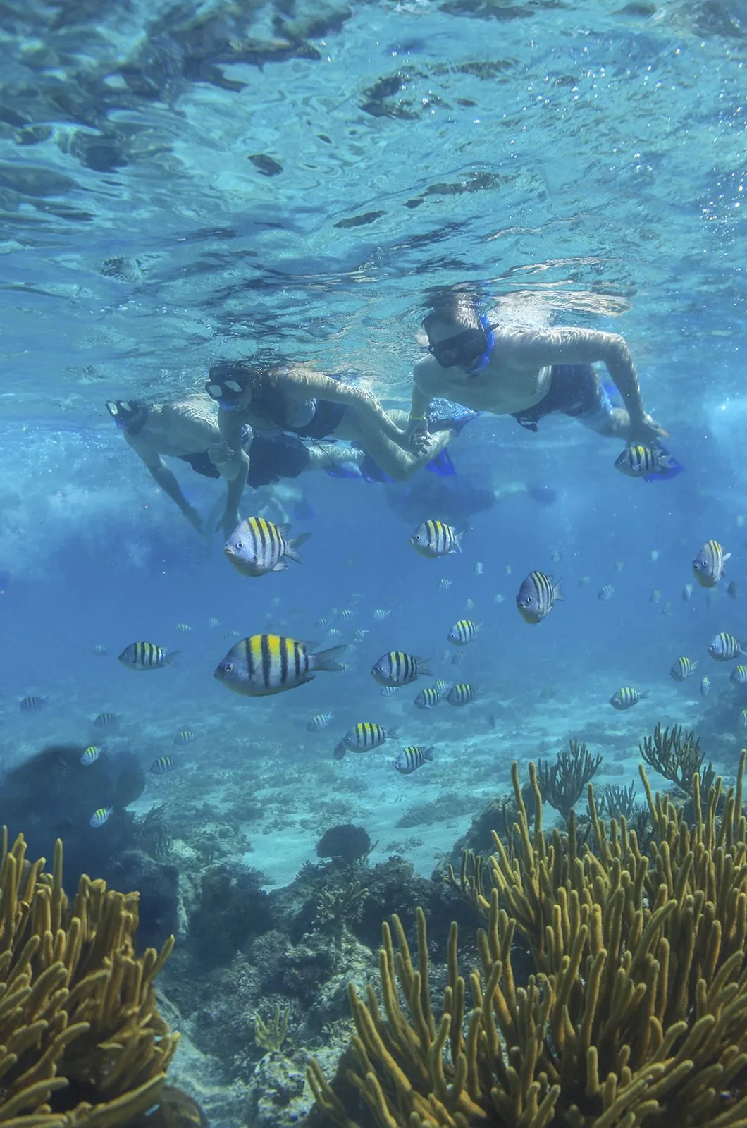 Cozumel luxury sailing