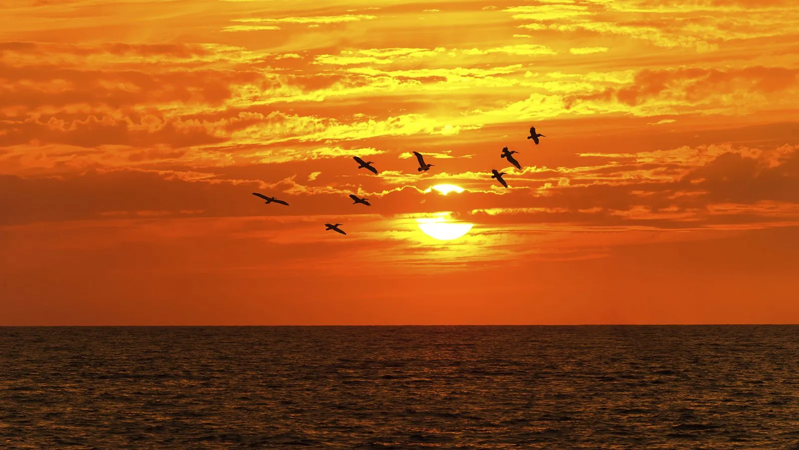 Sunset Lagoon Cruise with Live Saxophone