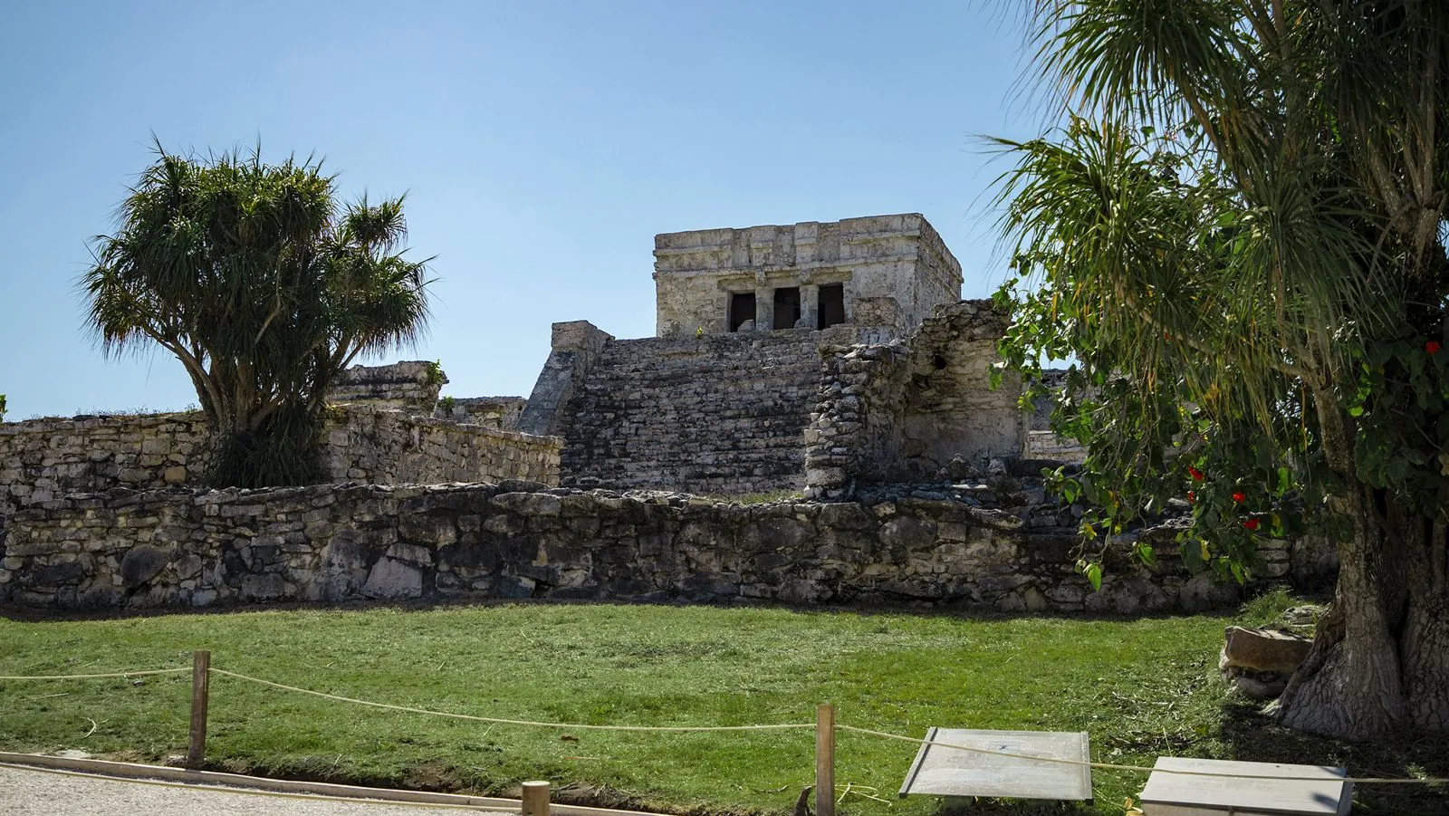 Ruinas de Tulum, cenote, tortugas y beach club