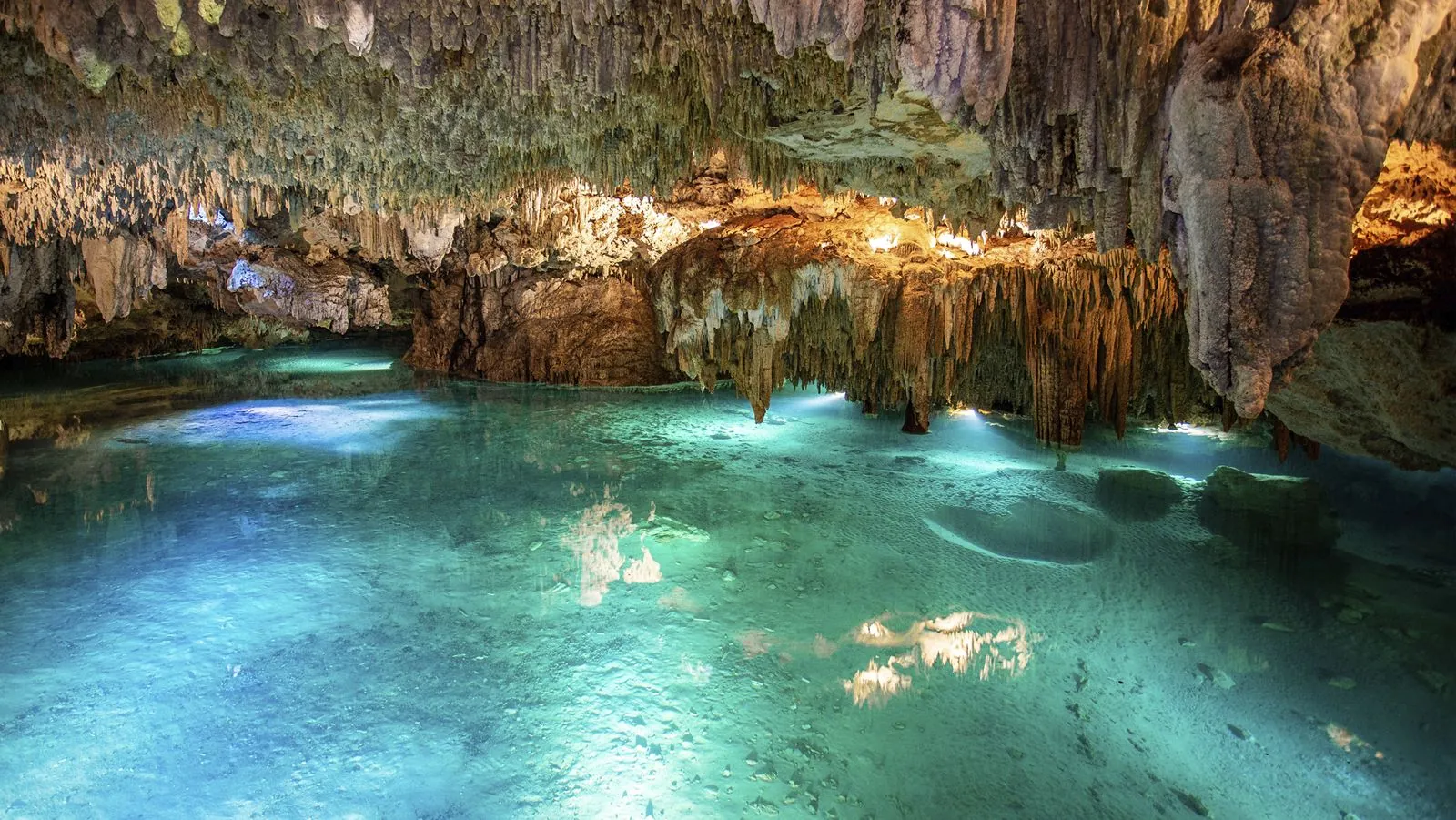 Private Underwater World Tour: Cenote & Turtle Snorkel